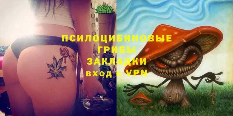 Галлюциногенные грибы Psilocybine cubensis  гидра как войти  Ардатов 